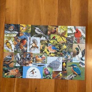 Birds in the Wild 1000 piece puzzle